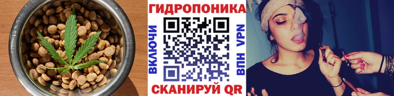 Cannafood конопля  Сольцы 